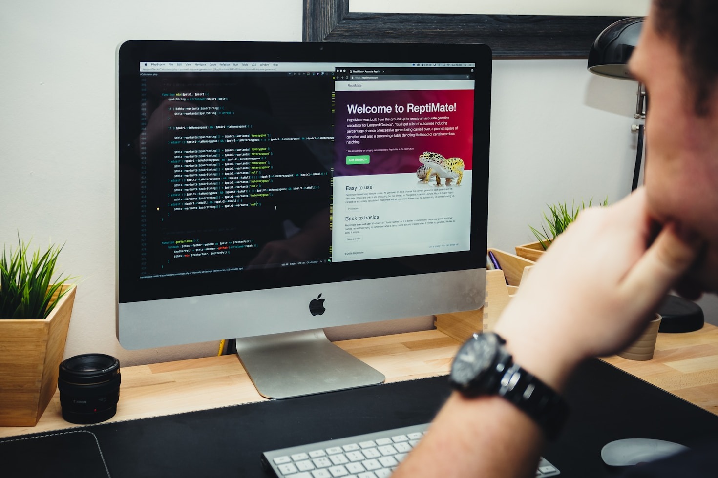 The Importance of Professional Web Development